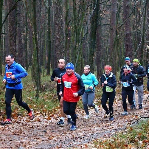 Żorski Półmaraton Leśny